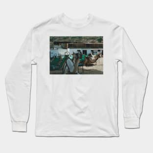 Working Camels Long Sleeve T-Shirt